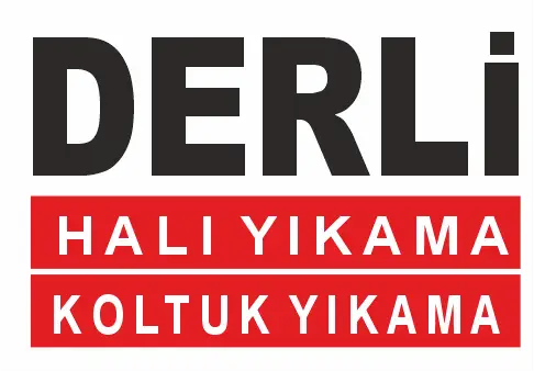 Mersin Merkez Halı Yıkama